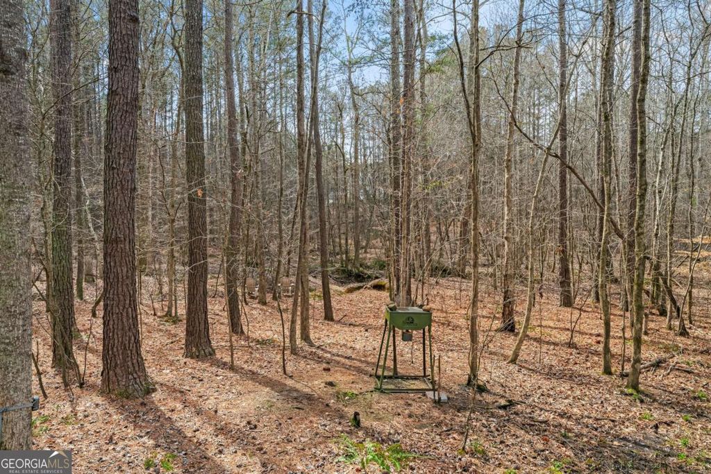 Photo of 453 Westridge Circle, Dallas, GA 30132 (MLS # 10706778)