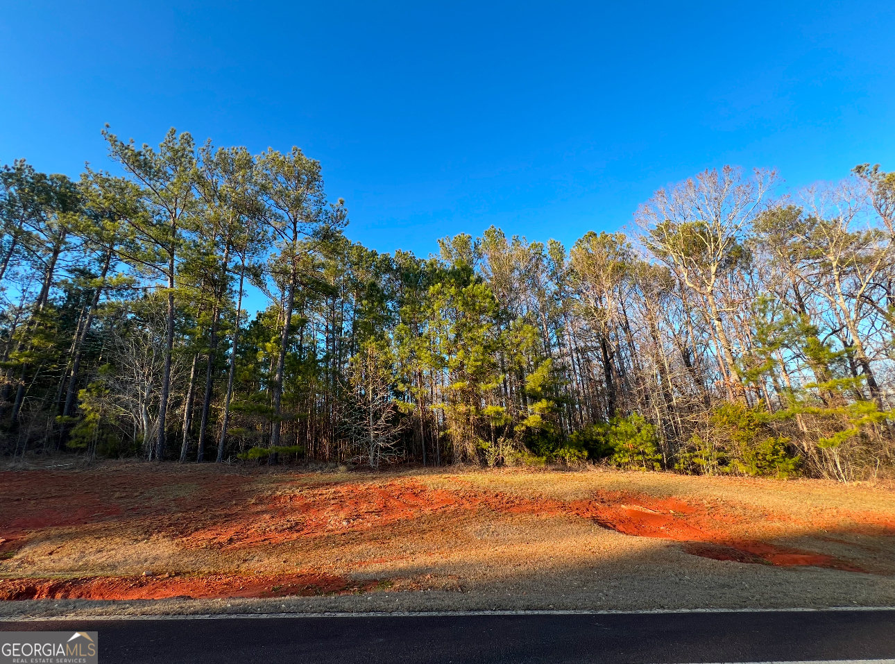 River Forest building lot. 1.15 Acres. River Forest is a gated community, offering a championship golf course, full service clubhouse, parks, walking trails, fitness, swim and tennis facilities.