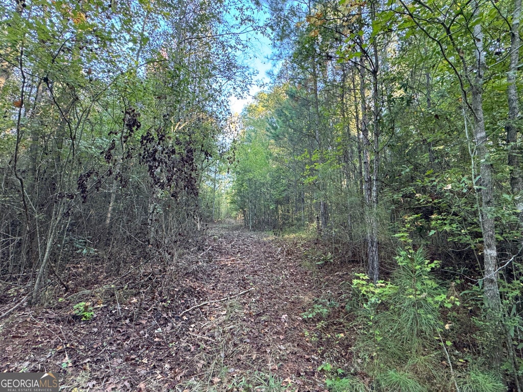 Photo of 14 Butler Road, Franklin, GA 30217 (MLS # 10875463)