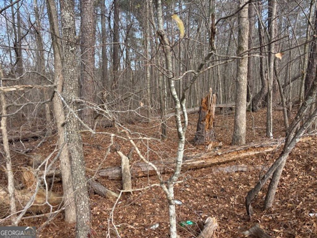 Photo of 401 Cannon Farm Road, Oxford, GA 30054 (MLS # 10682195)