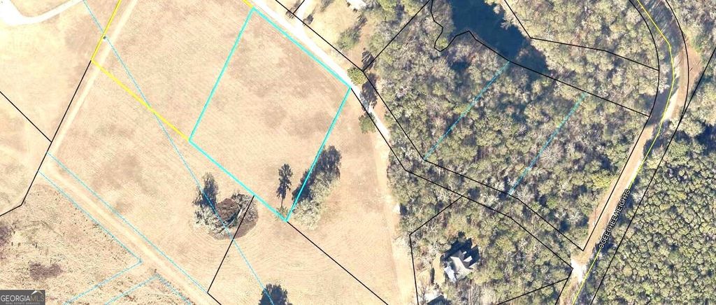 Photo of 0 Mill Creek Road, Bartow, GA 30413 (MLS # 10676048)