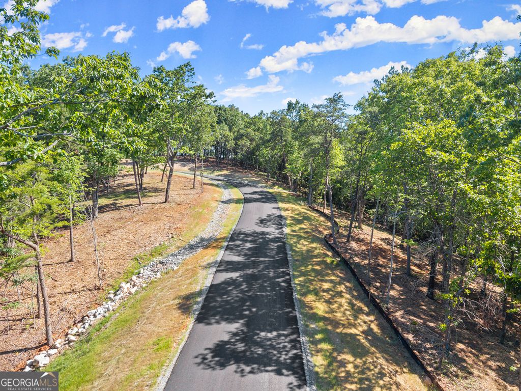 Photo of 209 Chimney Oaks Trail, Cleveland, GA 30528 (MLS # 10798939)