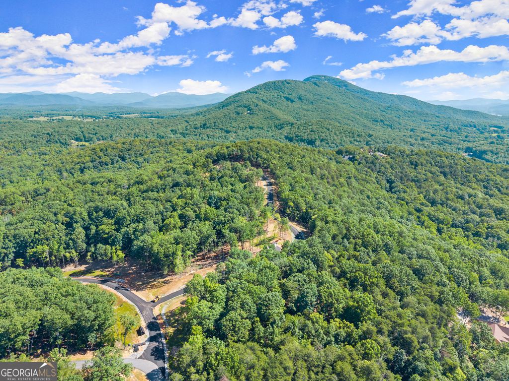 Photo of 209 Chimney Oaks Trail, Cleveland, GA 30528 (MLS # 10798939)