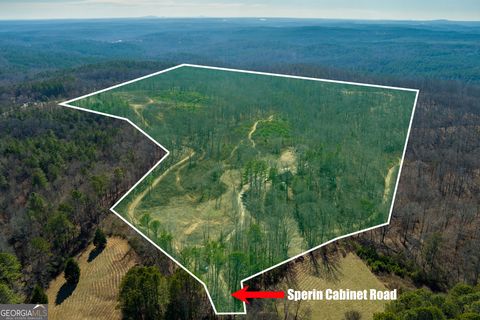 170 Sperin Cabinet Shop RD Ball Ground GA 30107