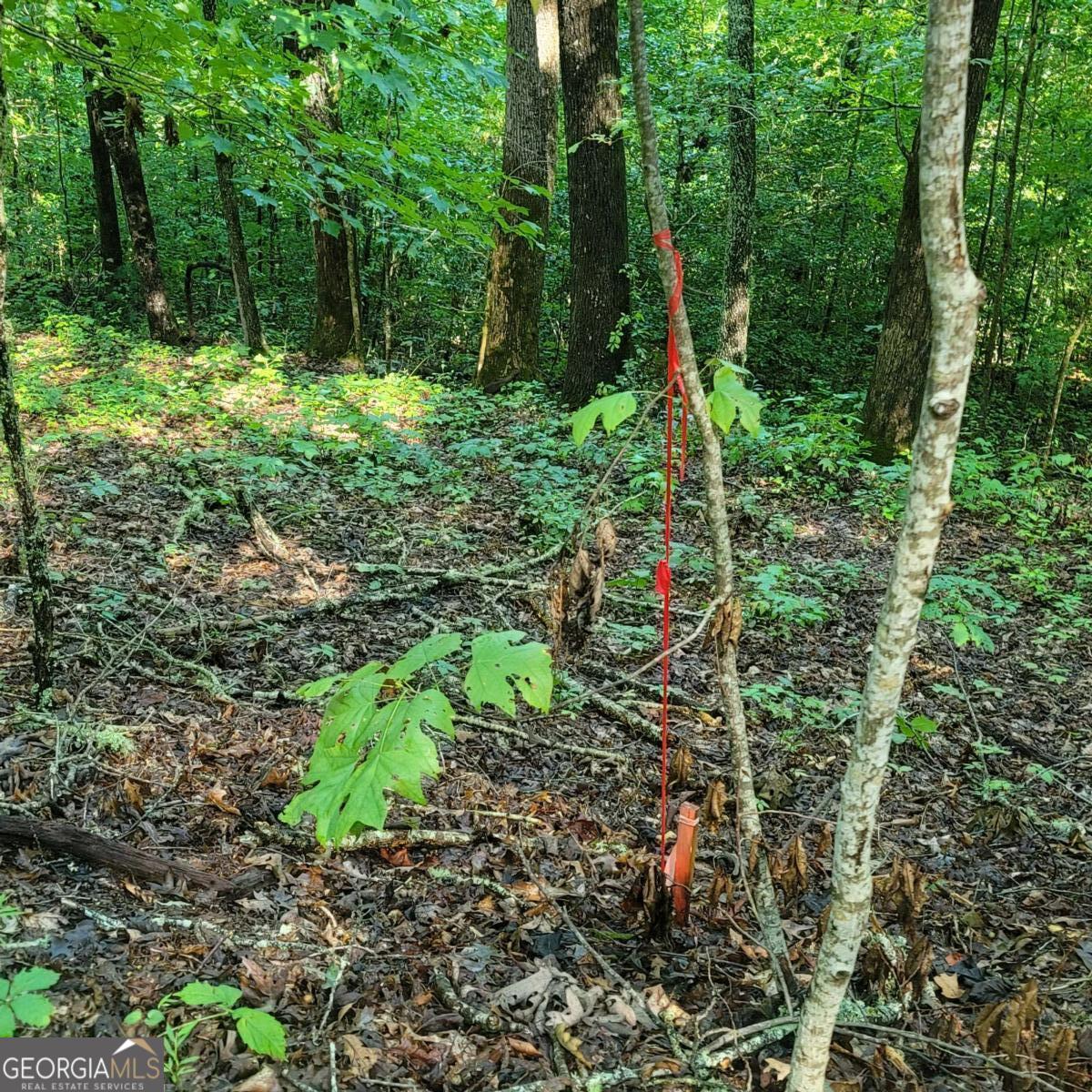 Photo 1 of 6 — 154-5 Dogwood CIR, Hayesville, NC 28904
