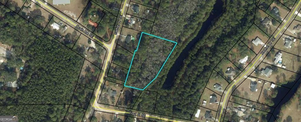 Photo of 218 Acres Sailfish Drive, Darien, GA 31305 (MLS # 10670707)