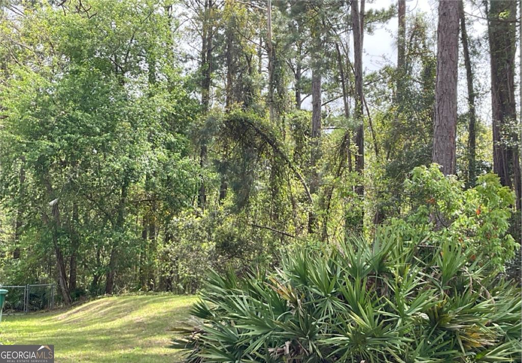 Photo of 218 Acres Sailfish Drive, Darien, GA 31305 (MLS # 10670707)