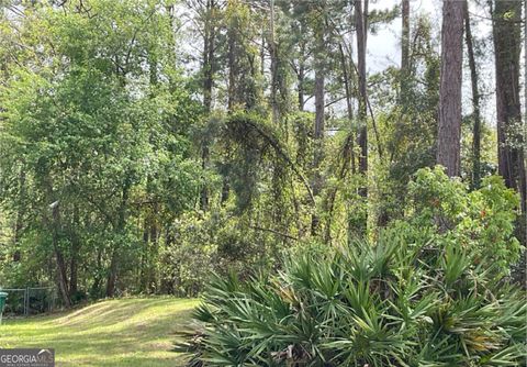 2.18 Acres Sailfish DR Darien GA 31305