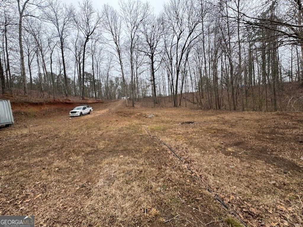 Photo of 1128 Minardi Drive, Hogansville, GA 30230 (MLS # 10706734)