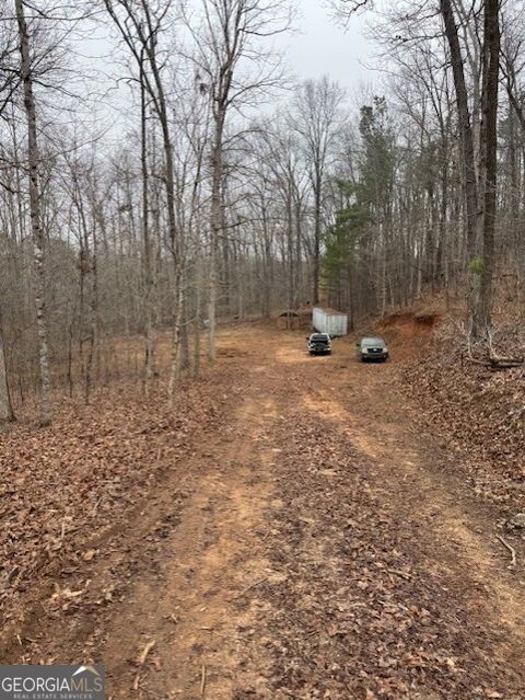 Photo of 1128 Minardi Drive, Hogansville, GA 30230 (MLS # 10706734)