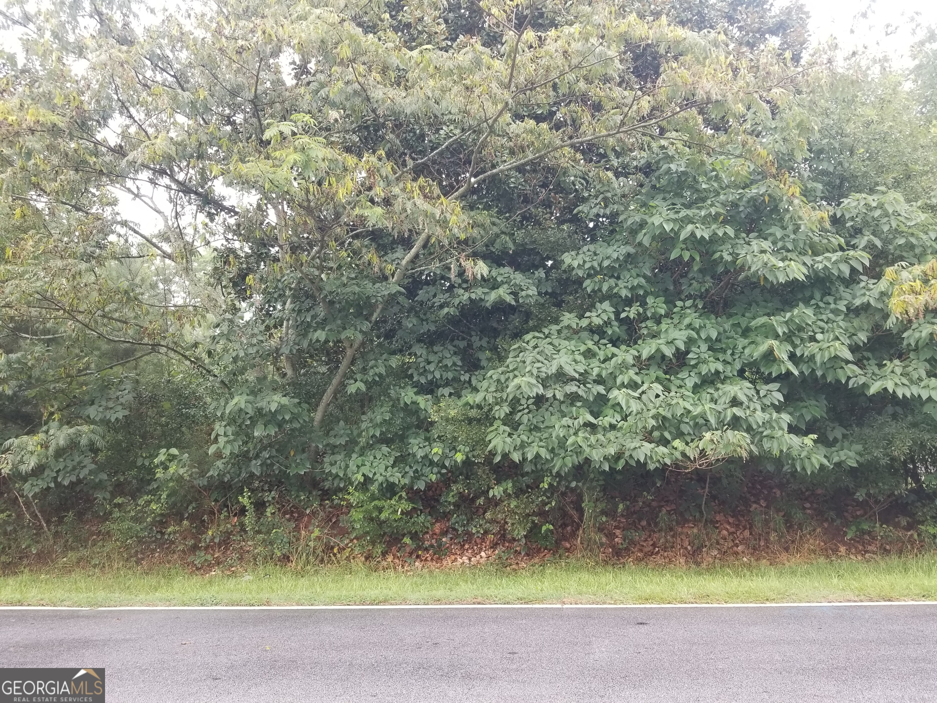 Ready to build your dream home? This large, level lot is perfectly situated in a quiet residential area with no HOA. Just minutes from I-20, Stone Mountain Park, Arabian Mountain Park and Stonecrest Mall. A survey and soil test is available, just bring your builder's plan!