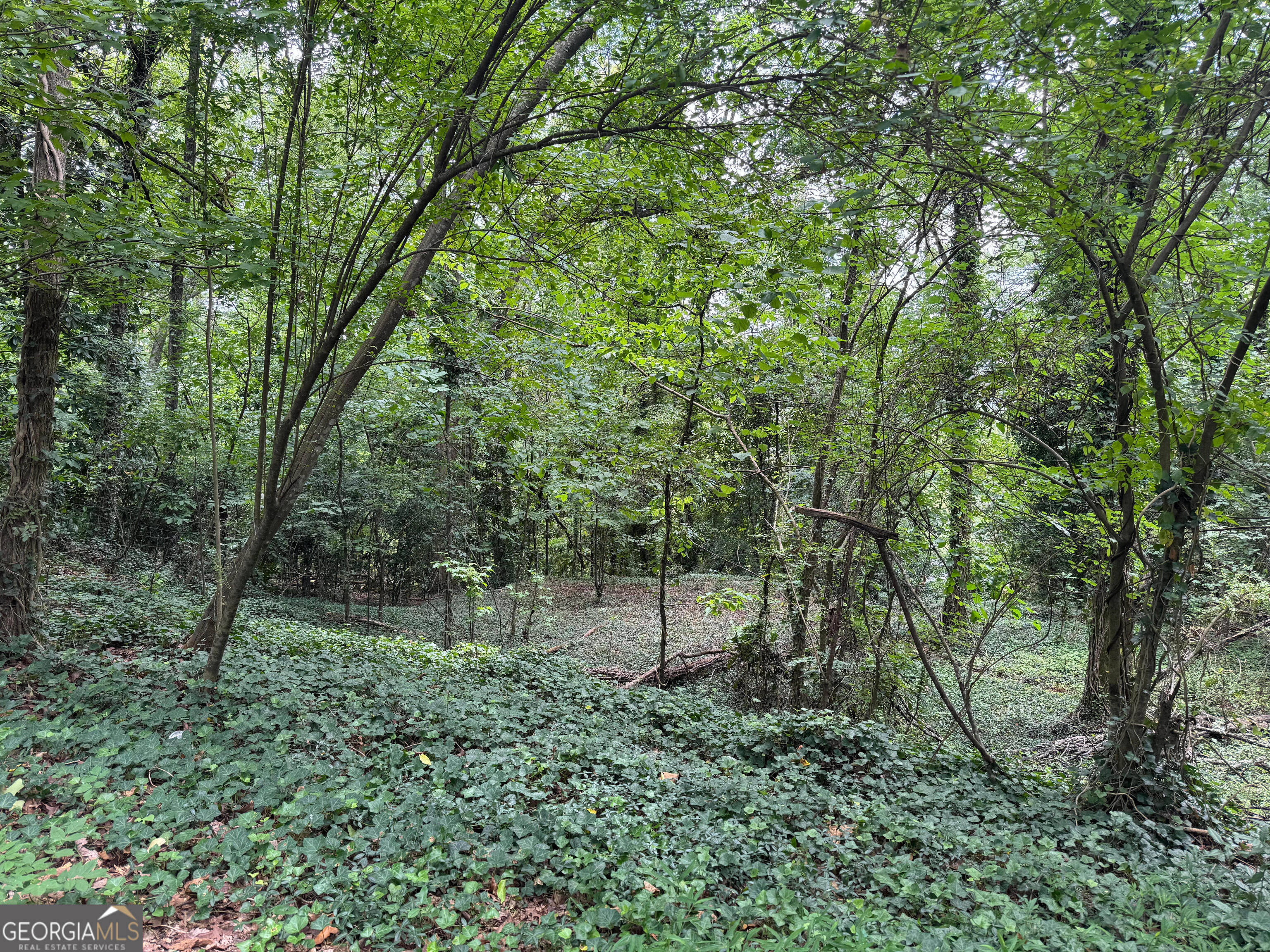 Build the home of your dreams on this .52 acre lot in desirable Old East Rome! Private lot with 92 feet of road frontage.