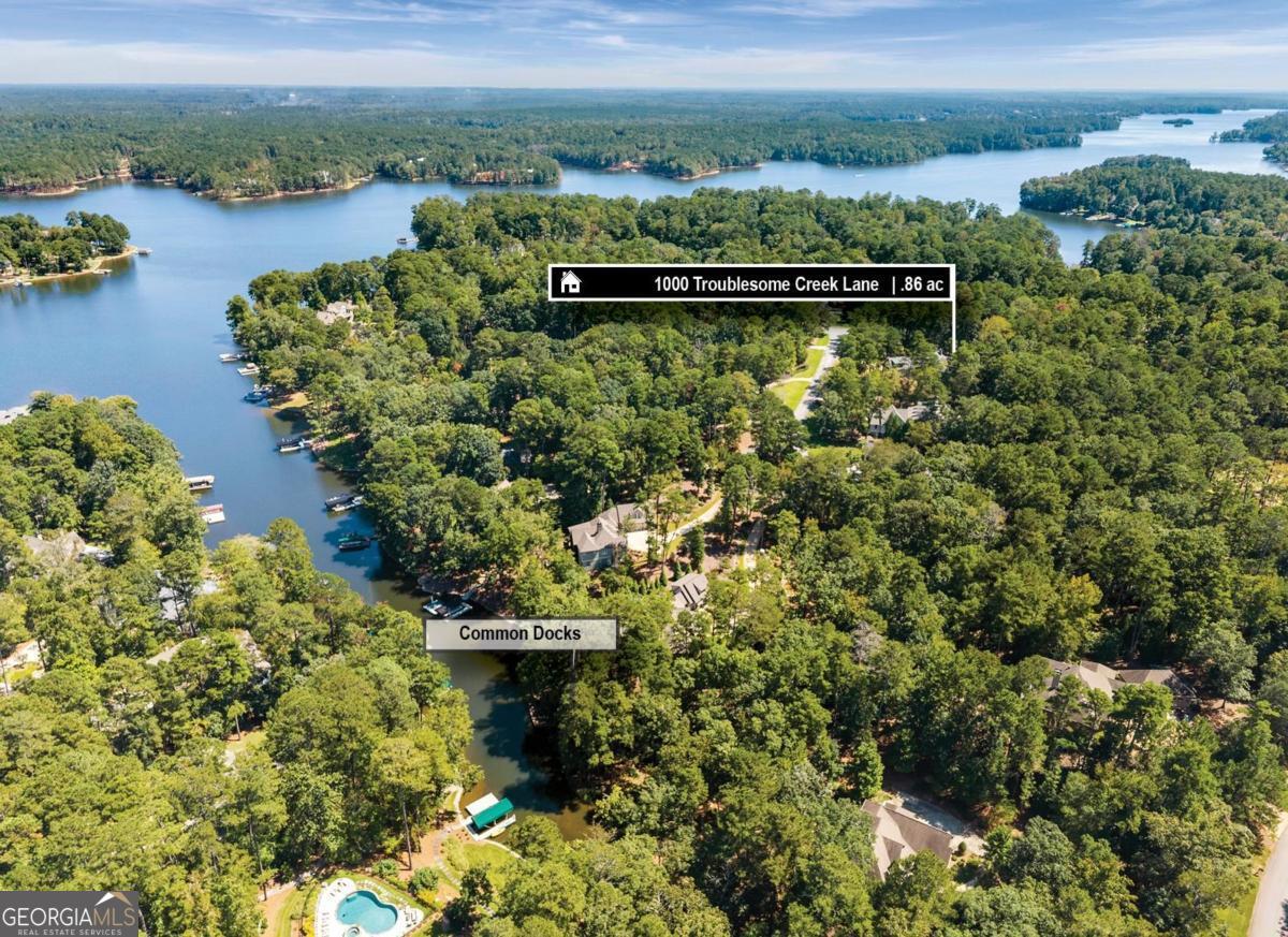 1000 Troublesome Creek LN