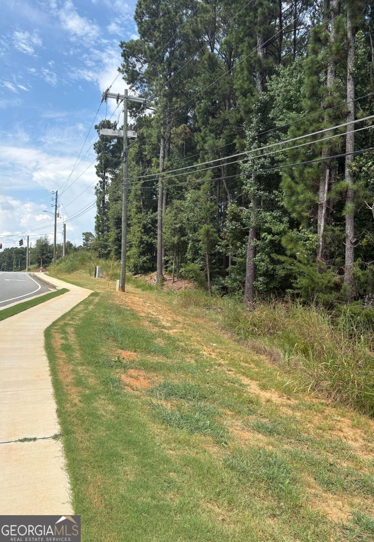 .36 Acres New Light and Hickory
