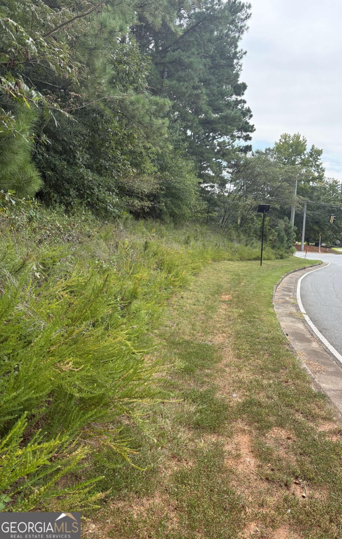 .36 Acres New Light and Hickory