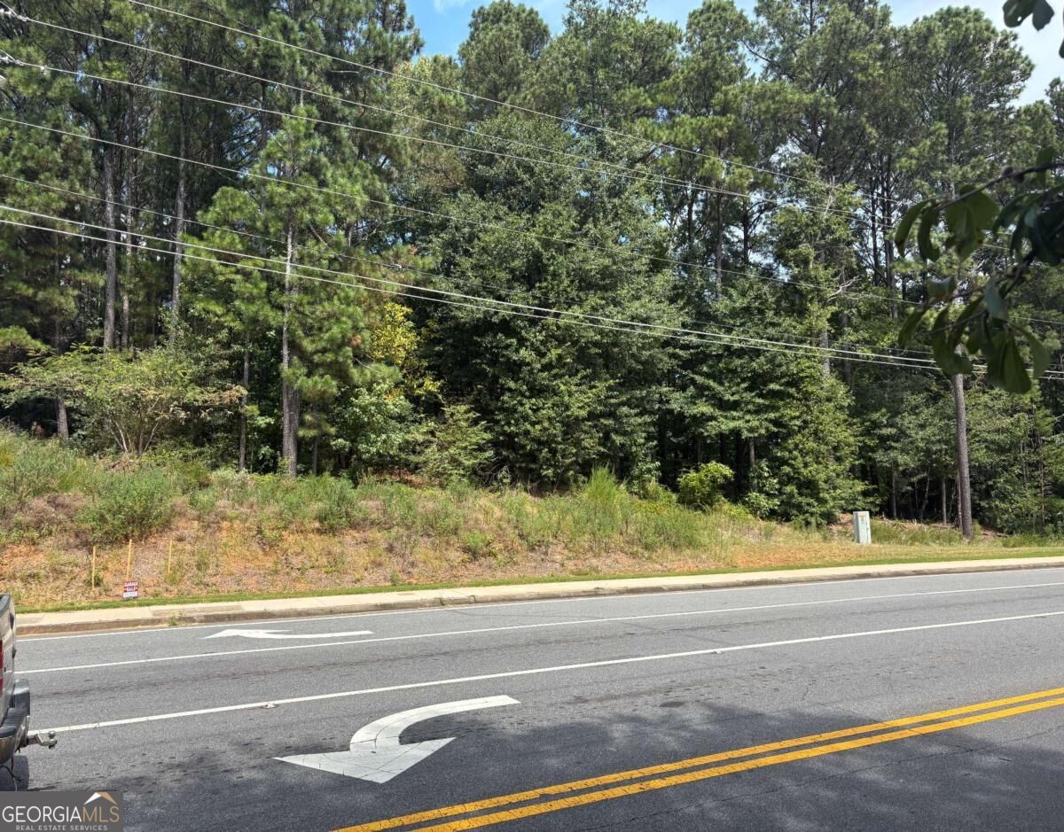 .36 Acres New Light and Hickory