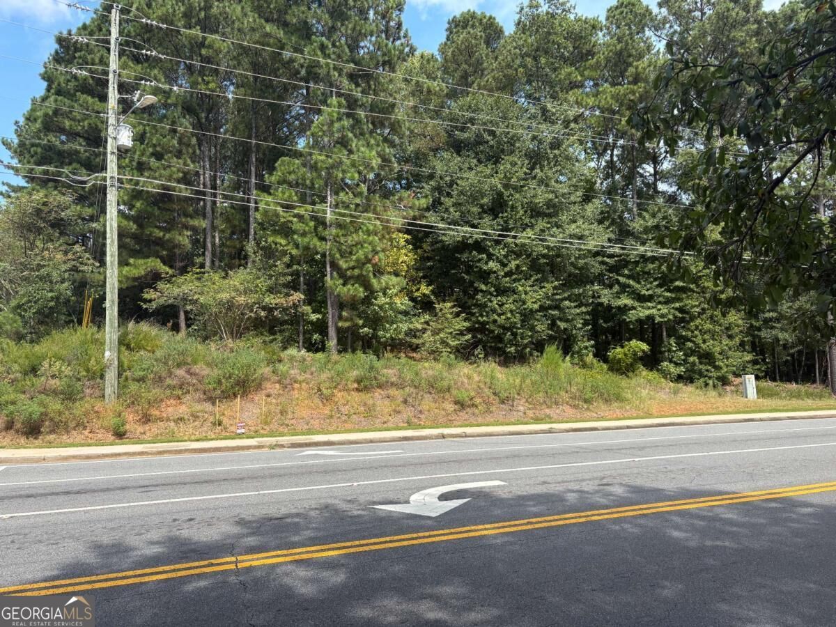.36 Acres New Light and Hickory