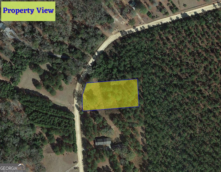 Photo of 1 Jenny Lynn Lane, Fort Gaines, GA 39851 (MLS # 10817342)