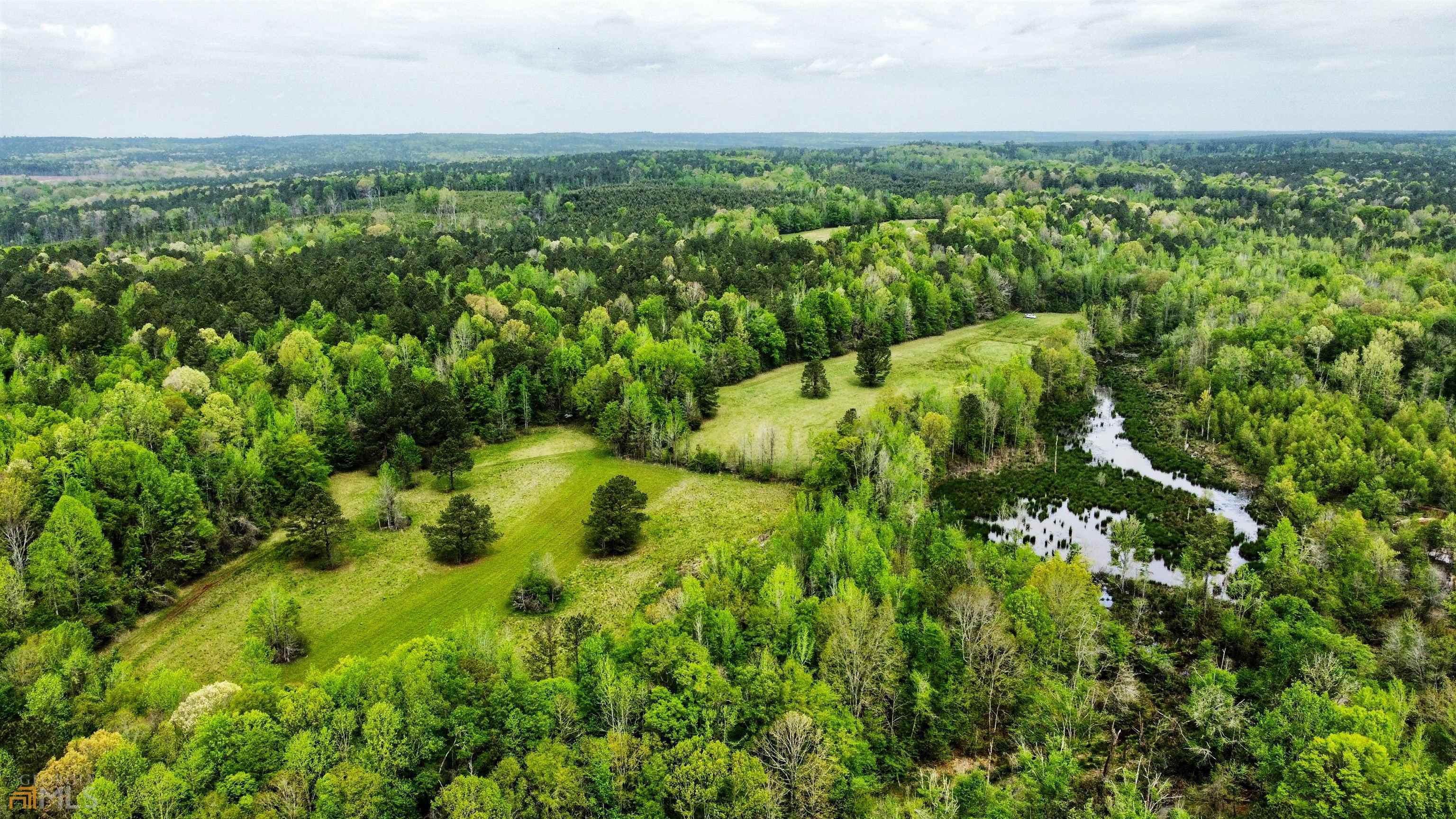 Baldwin/Hancock Co. Line, 412.62 +/- acres, $1,269,900!! First time on the market in over 100 years! Gorgeous, old family homeplace with old barns, outstanding natural pine and hardwood timber, fields, two major creeks, over 3000 feet of county road frontage, 10 minutes to downtown Milledgeville. Loaded with deer & turkeys! Shown by appointment only. Call or email Mike Newsome for details.   * Seller is a licensed real estate agent in GA.