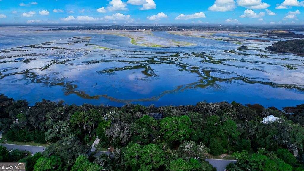 Photo of 111 Carousers Cove, Saint Marys, GA 31558 (MLS # 10691084)