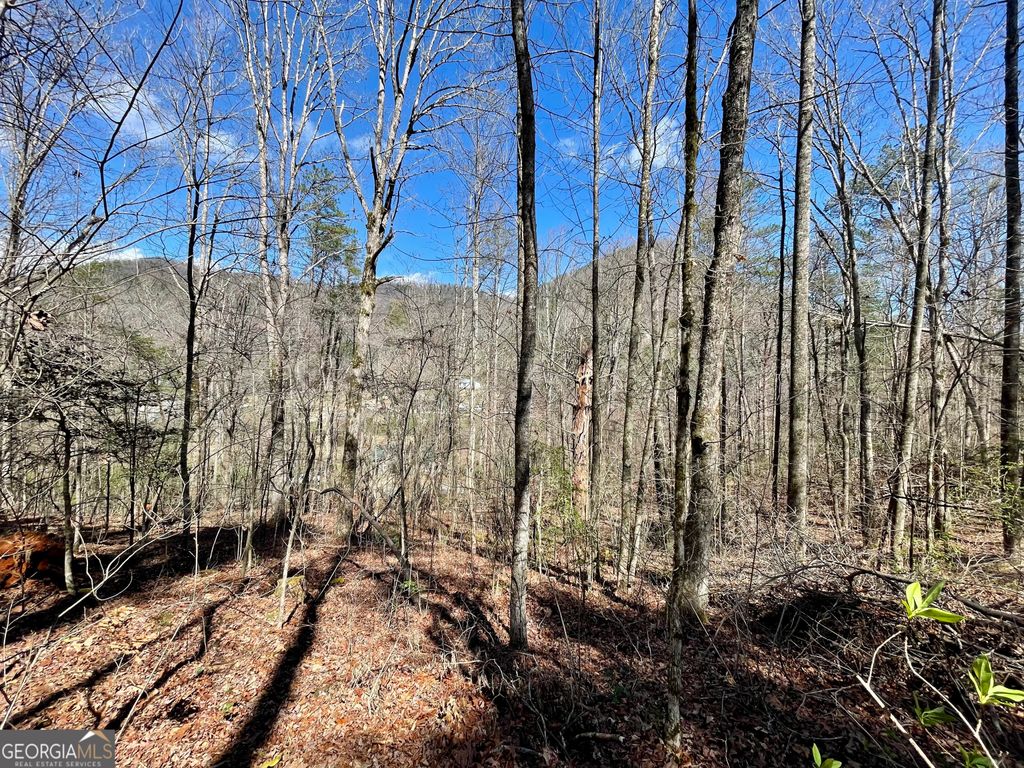 Photo of 0 Bridge Creek Rd, Tiger, GA 30576 (MLS # 10712060)