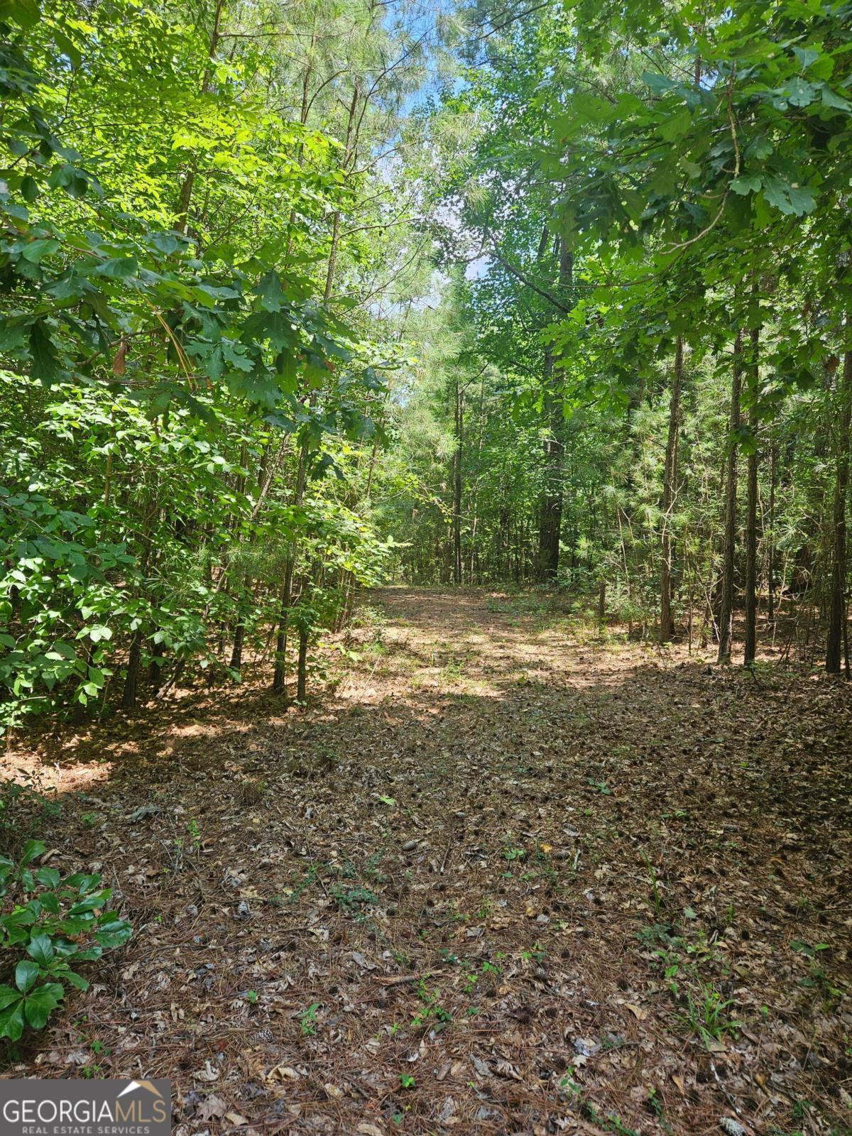 292 Mccannon RD TRACT 3