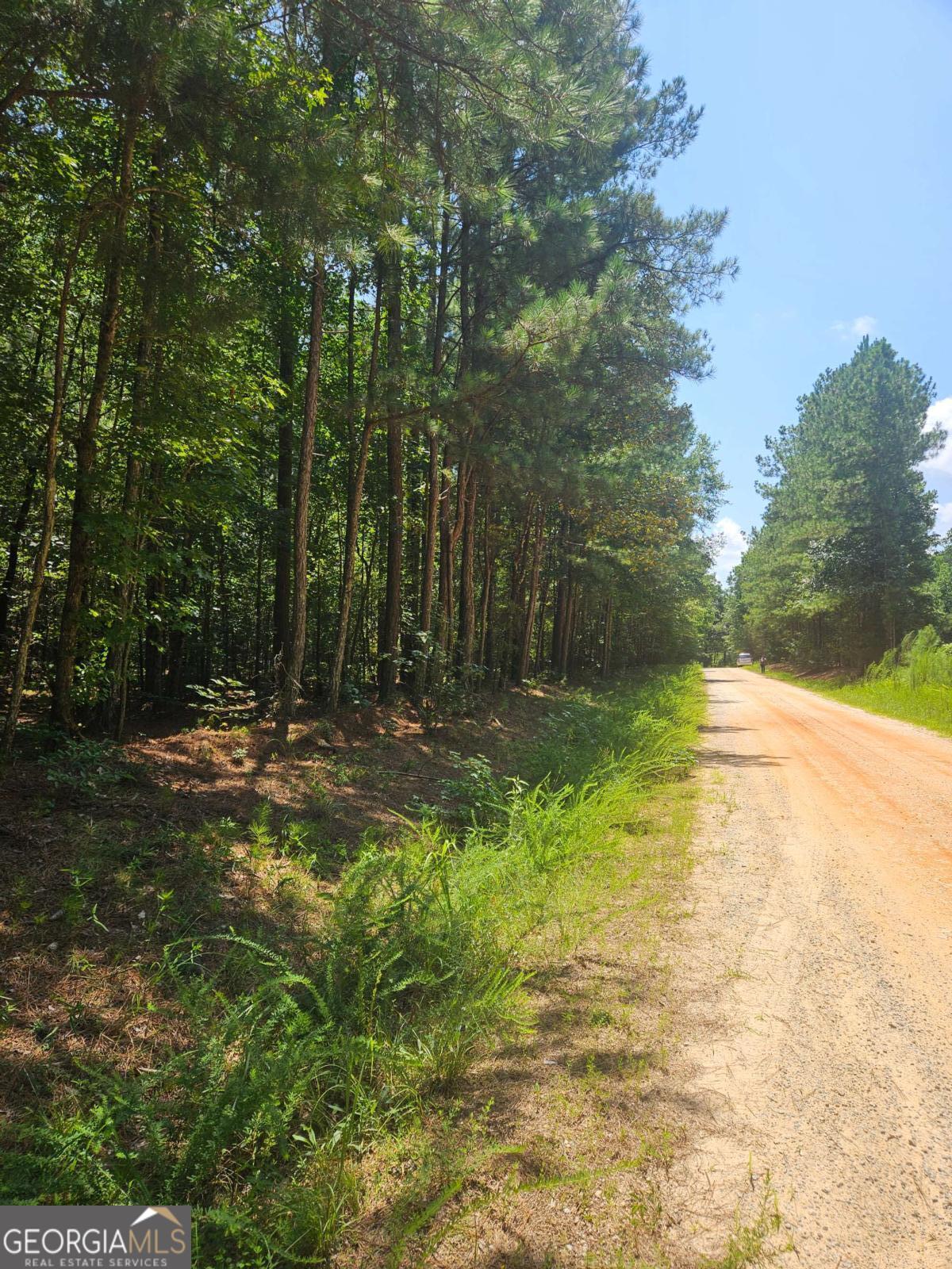 292 Mccannon RD TRACT 3