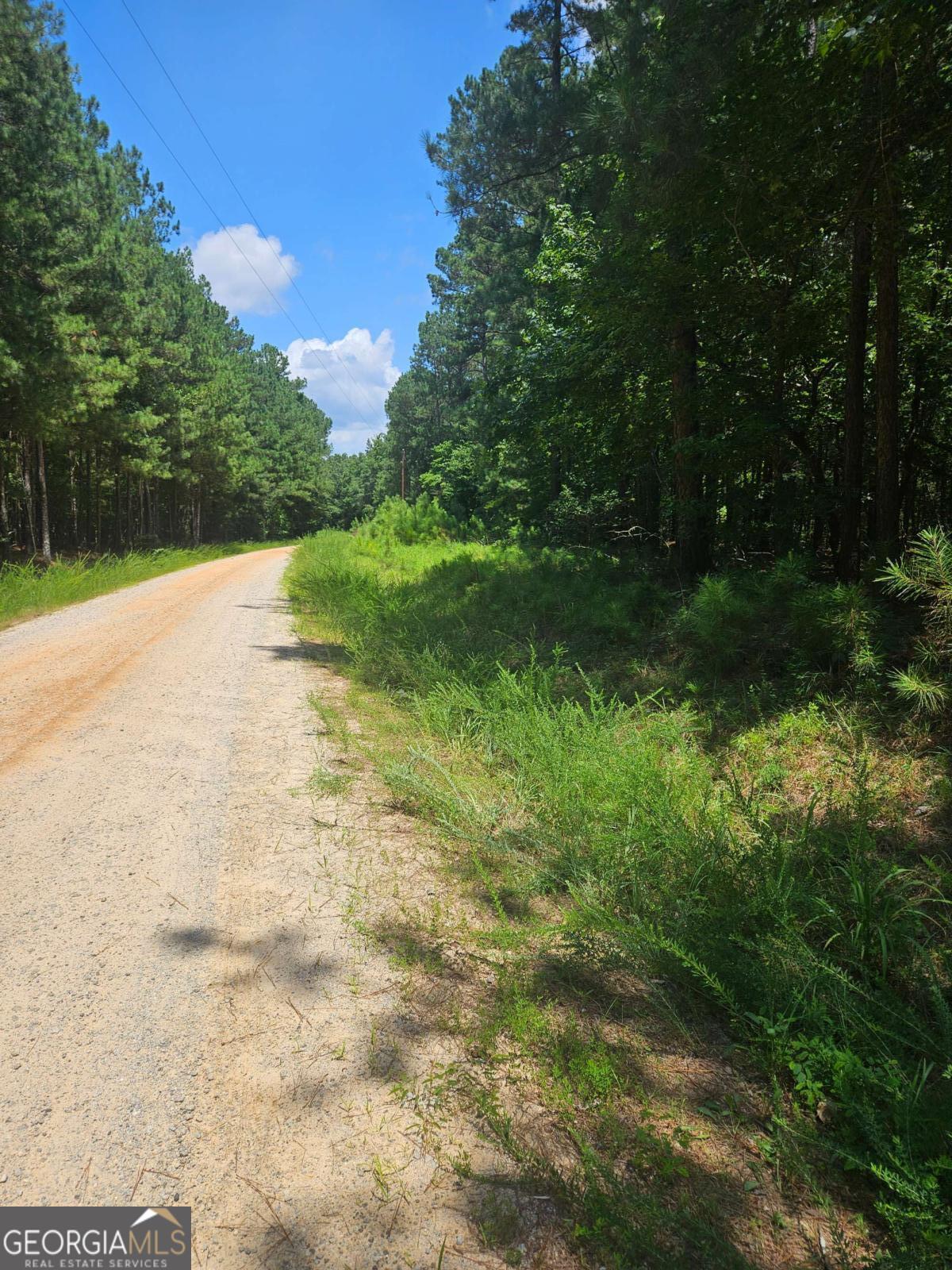 292 Mccannon RD TRACT 3