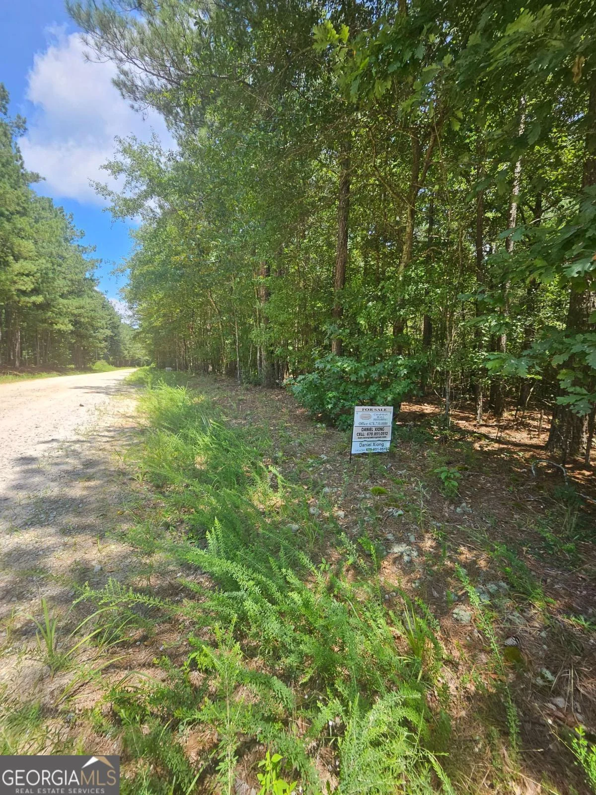 292 Mccannon Rd Tract 3 Rd, Carlton, GA, 30627