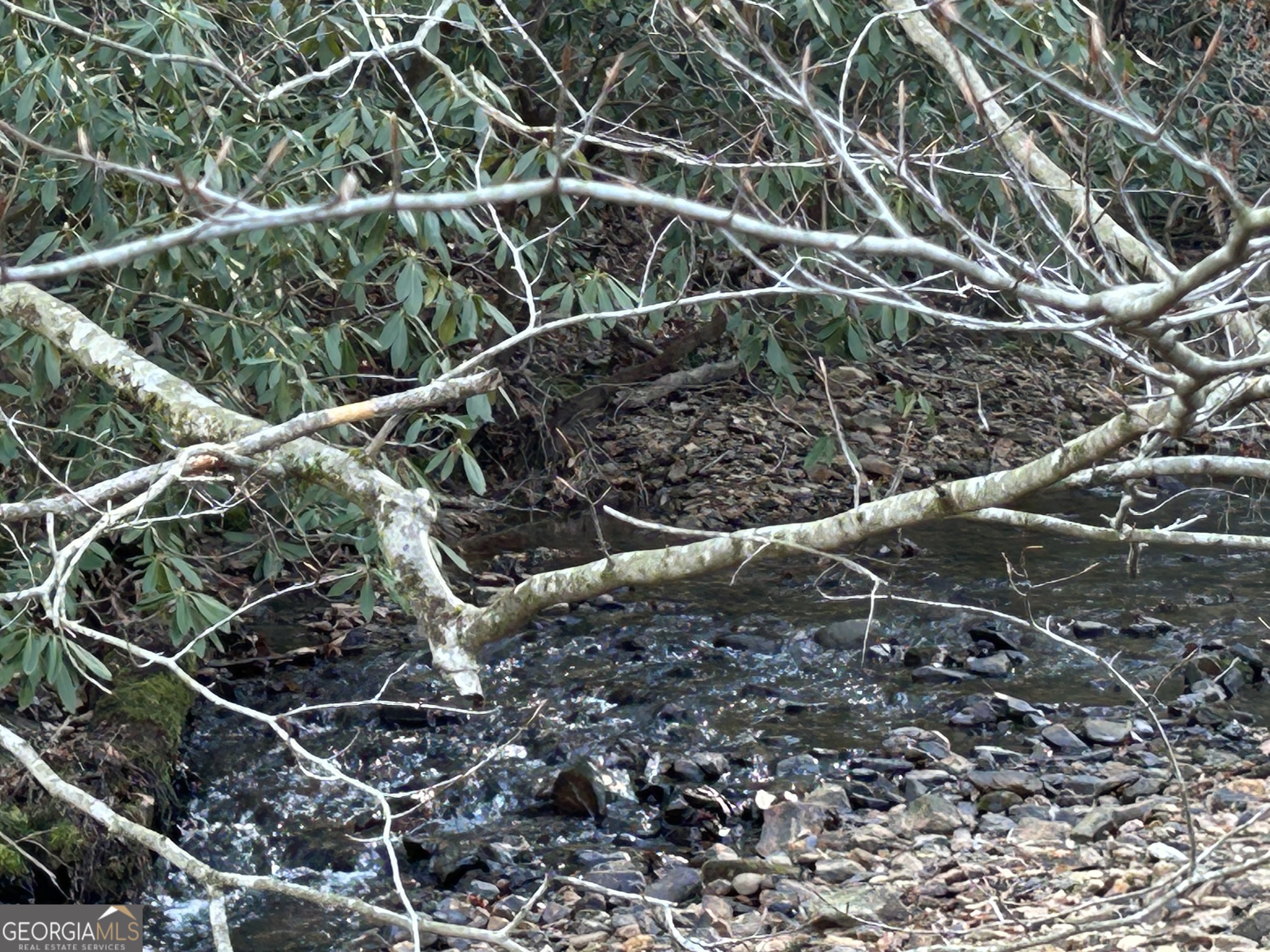 26.35 AC Brasstown Creek RD
