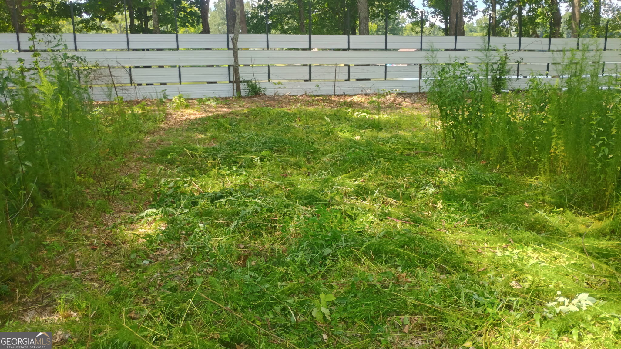 225  LOTS 3,4,5 County Road 115