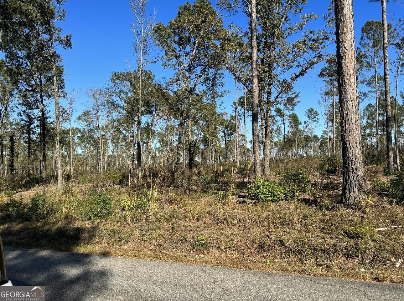 View Macon, GA 31220 land