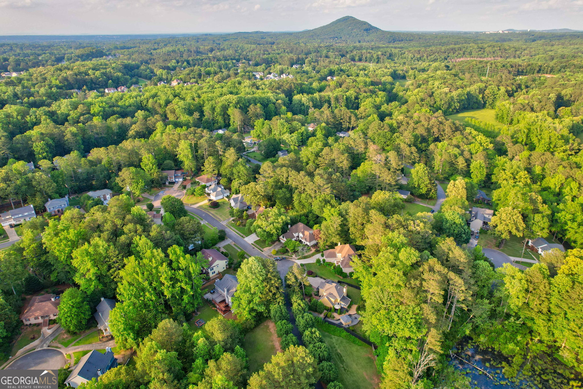 Battle Forest - Residential