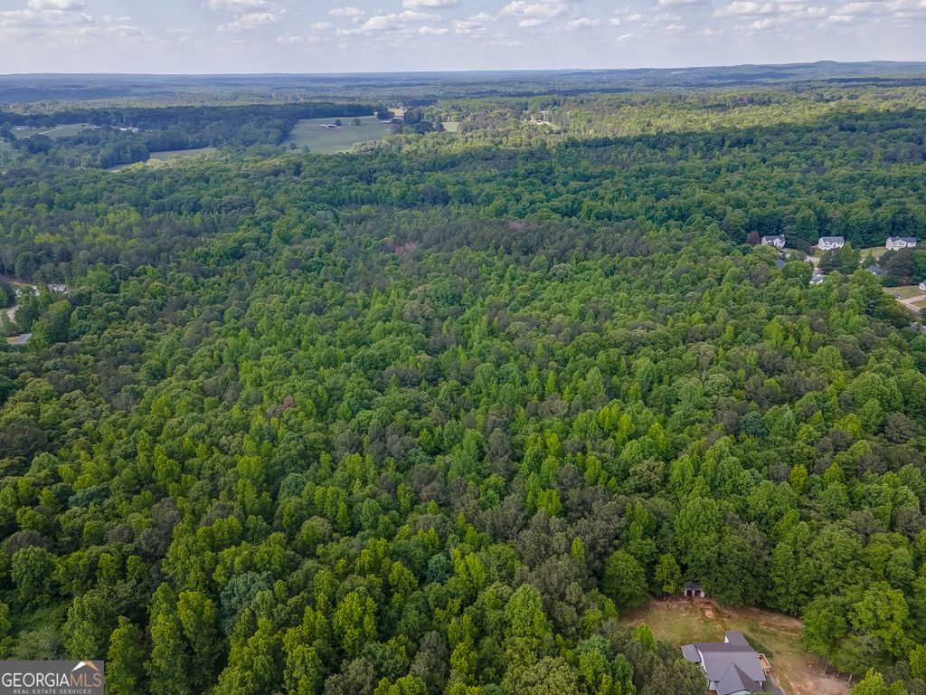 Photo of 0 Dock Hyde Rd, Carrollton, GA 30116 (MLS # 10765778)