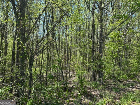 Photo for 0 N. 411 HWY