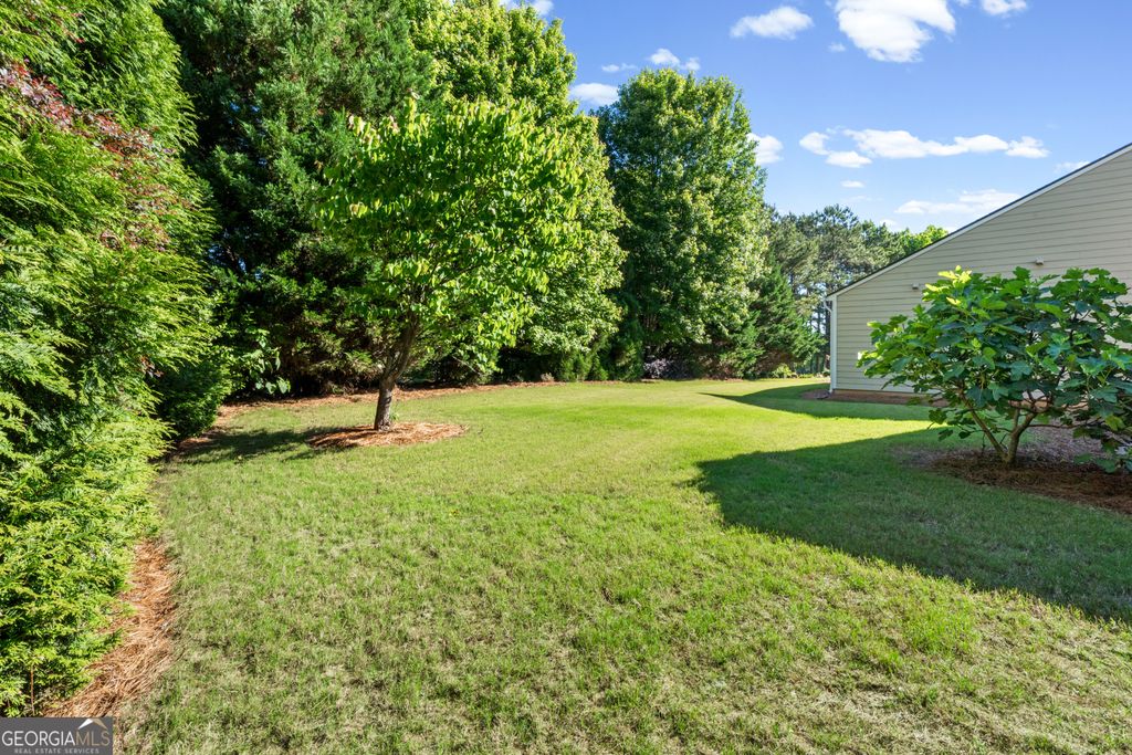 Photo of 800 Dusky Sap Ct, Griffin, GA 30223 (MLS # 10766075)