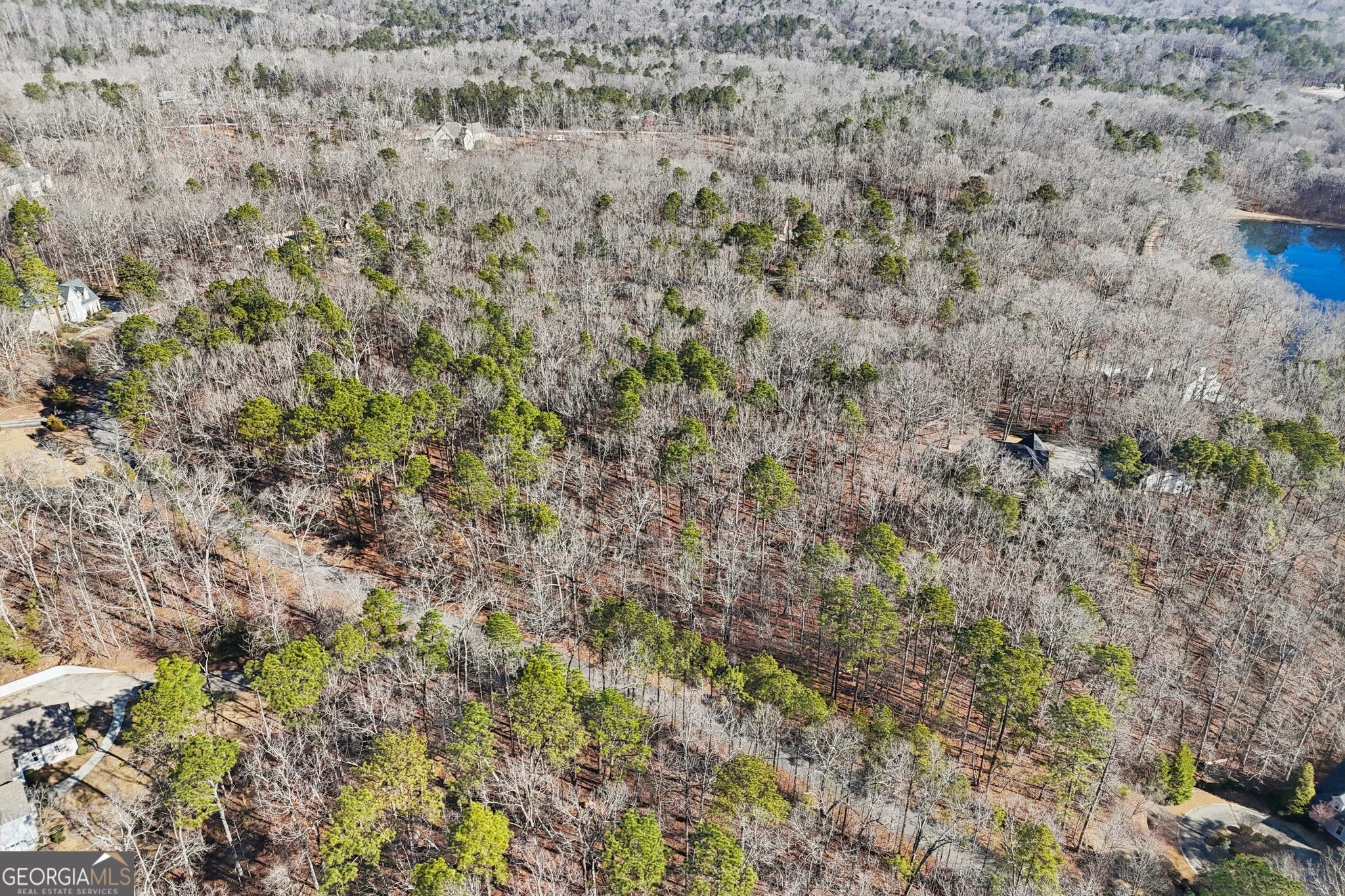 6050 Hickory Bend DR