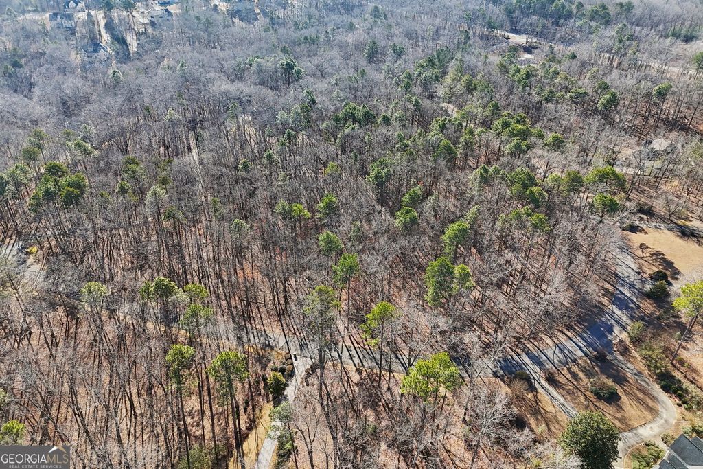 Photo of 6050 Hickory Bend Drive, Douglasville, GA 30135 (MLS # 10691137)