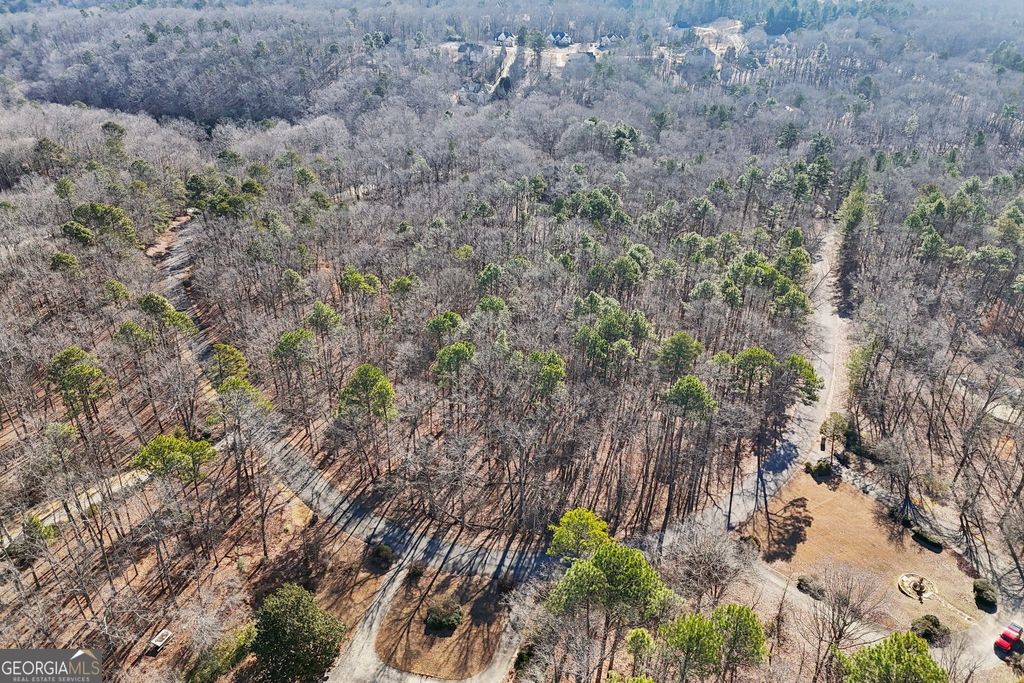 Photo of 6050 Hickory Bend Drive, Douglasville, GA 30135 (MLS # 10691137)