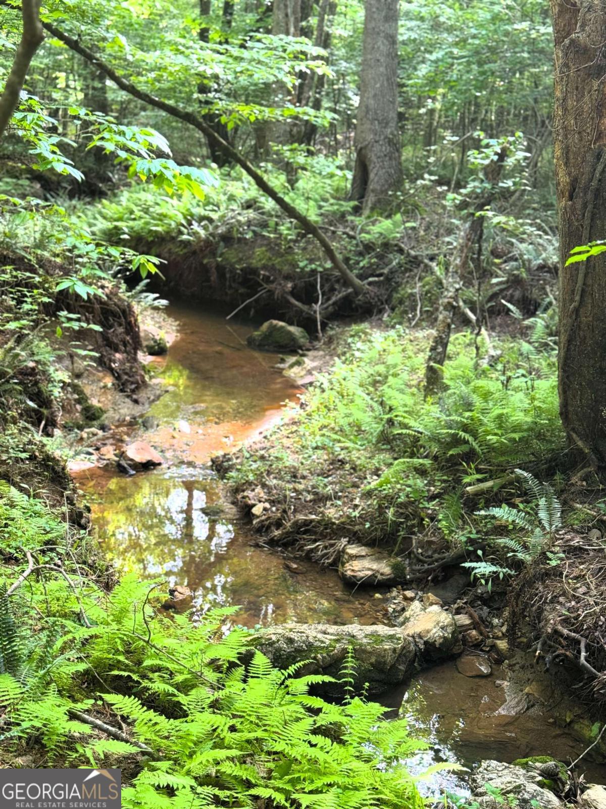 Blackberry Ridge - Residential