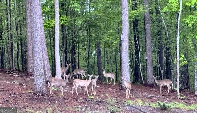 Blackberry Ridge - Residential