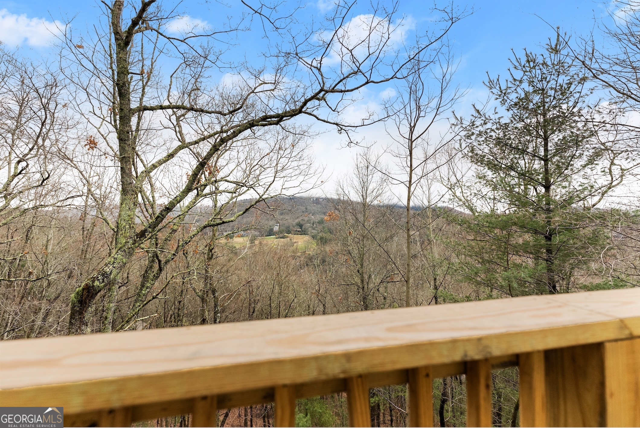291 Saddleback CIR