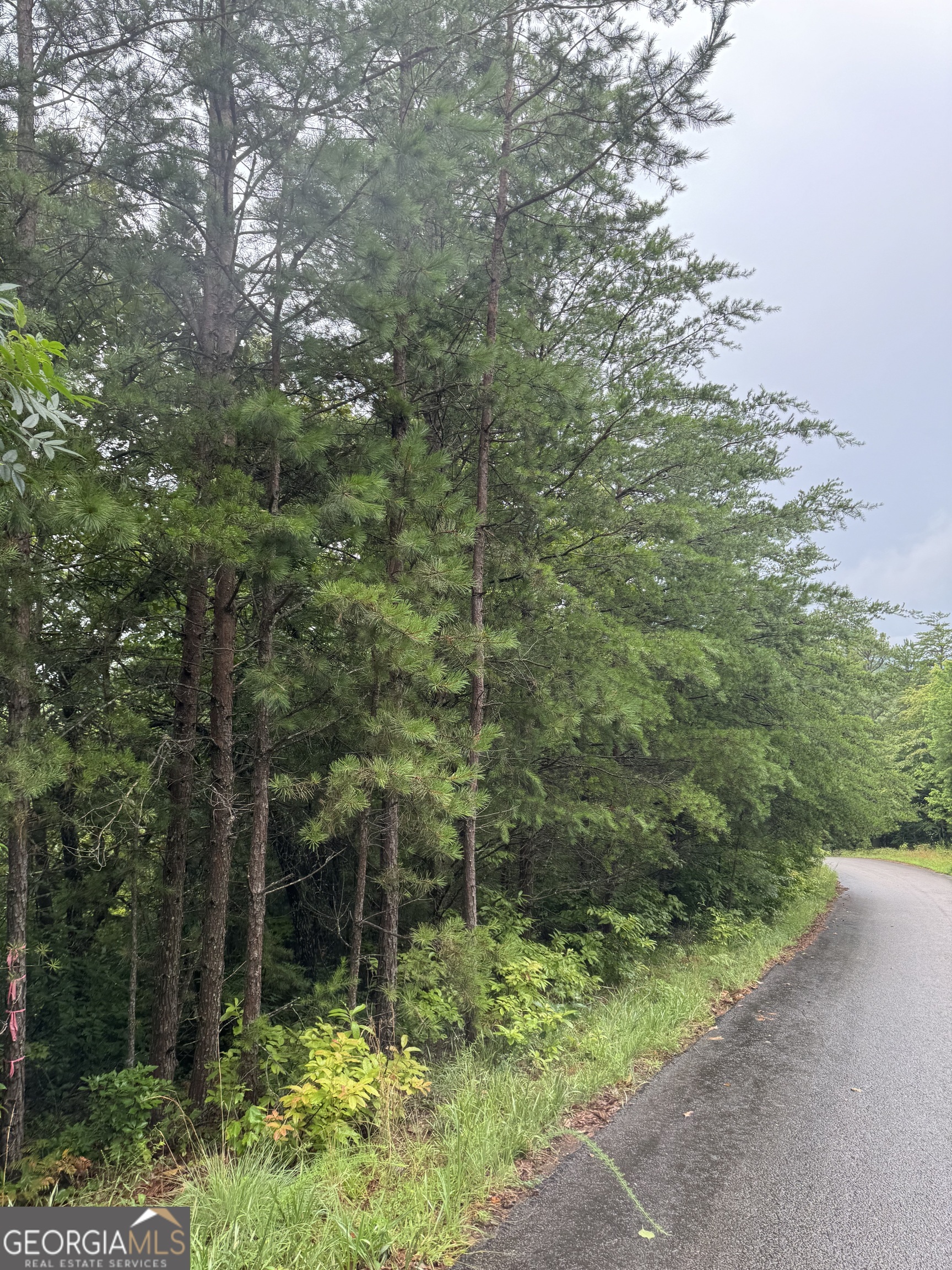 LOT 37 Eagle Talon Trail