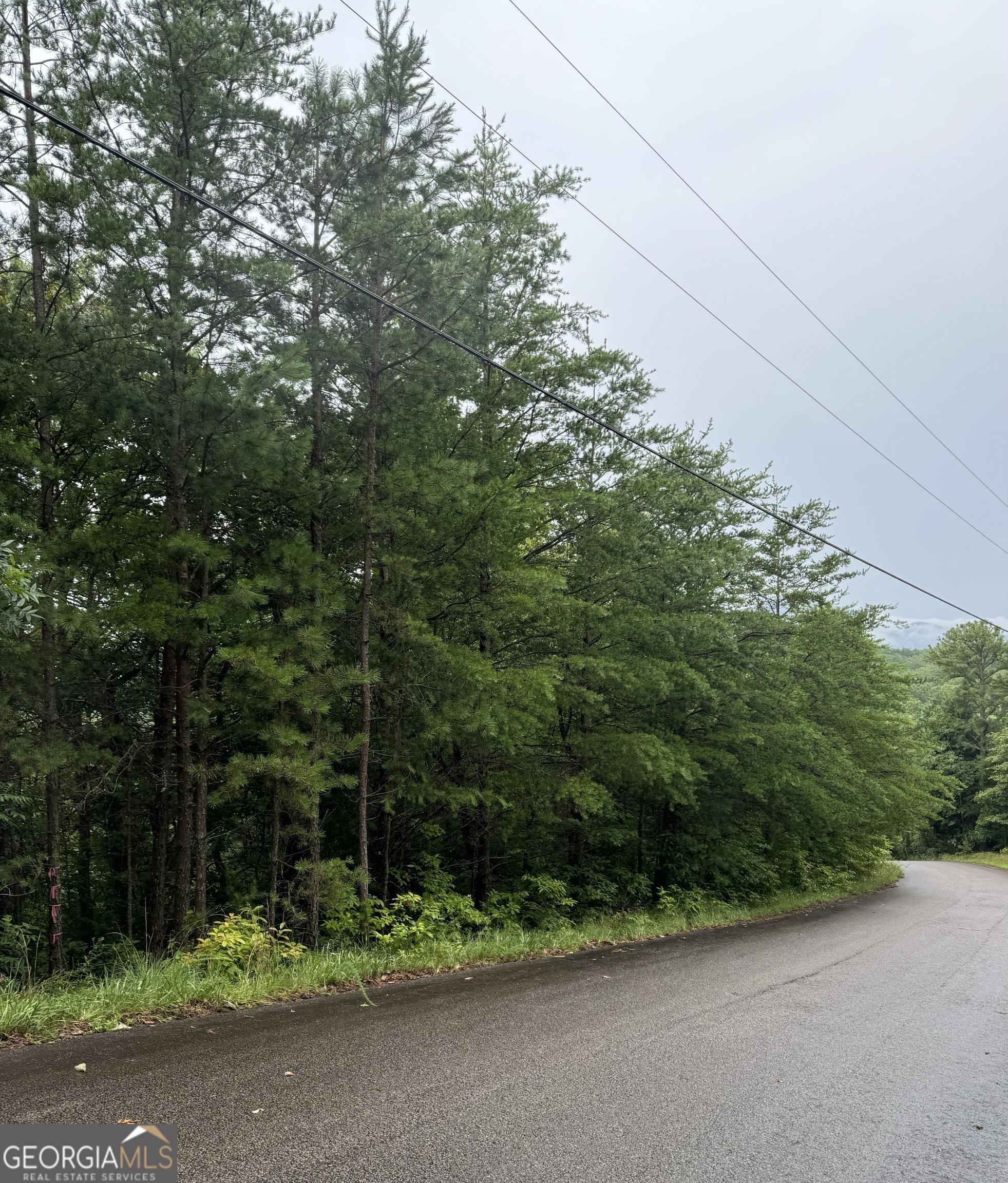 LOT 37 Eagle Talon Trail