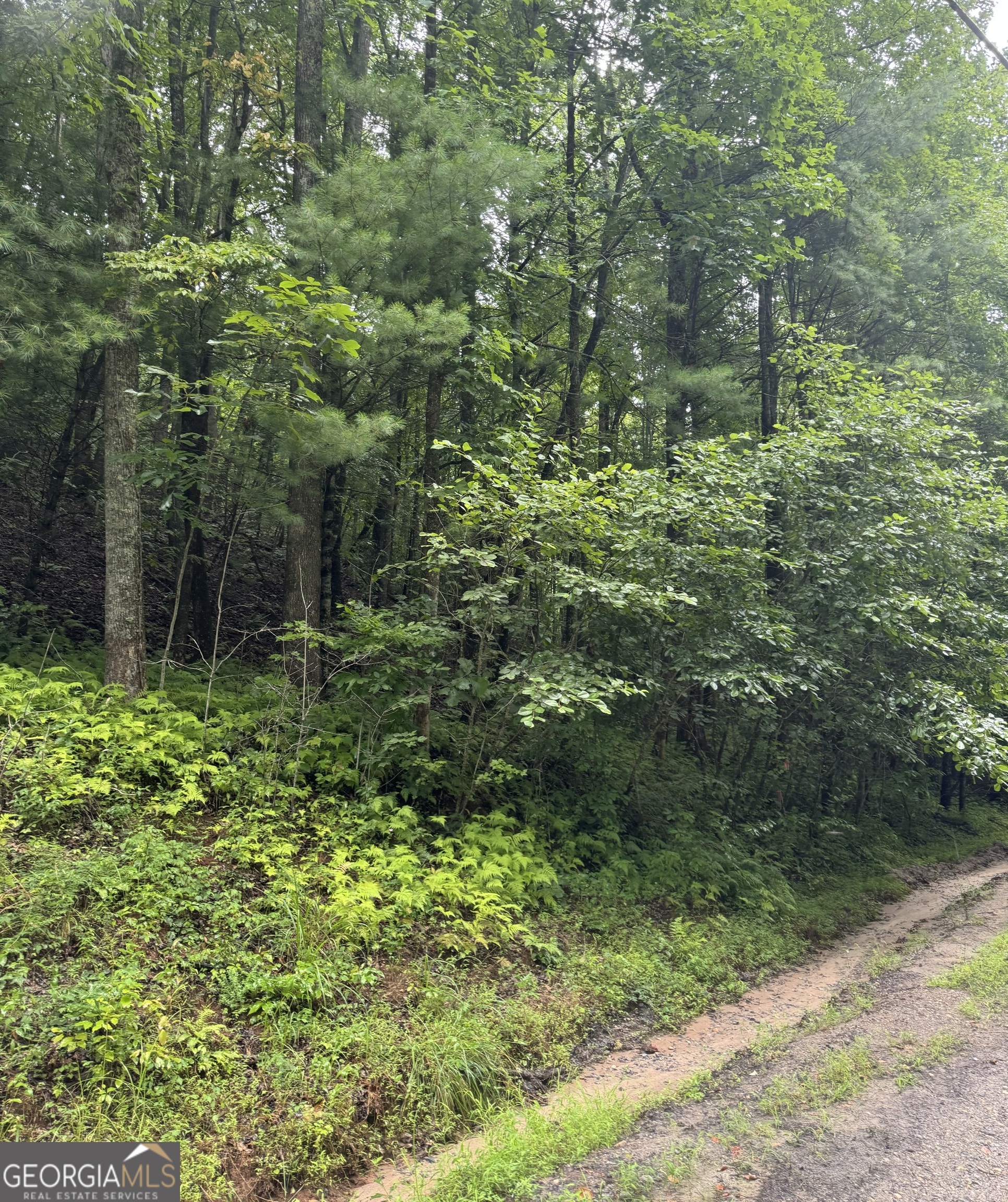 LOT 37 Eagle Talon Trail