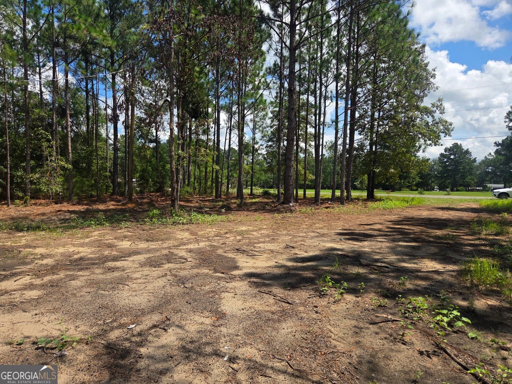 Photo of 453 Salter Moon Rd, East Dublin, GA 31027 (MLS # 10836918)