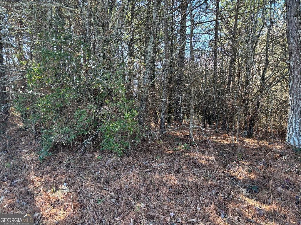 Photo of 2515 Eastgate Place, Snellville, GA 30078 (MLS # 10697129)