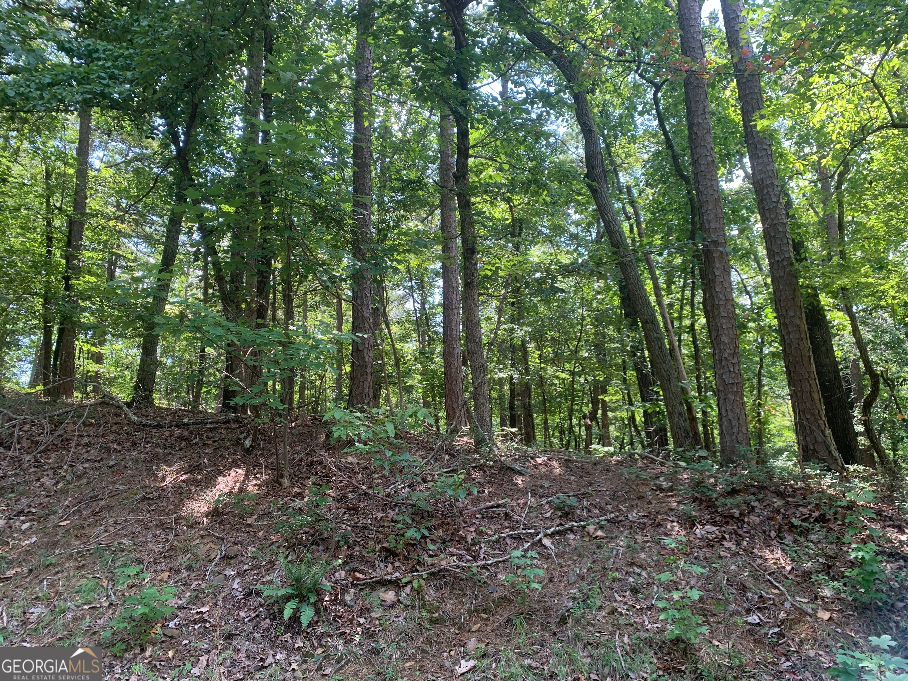 0 Grant Smith, Summit Ridge, Etc.