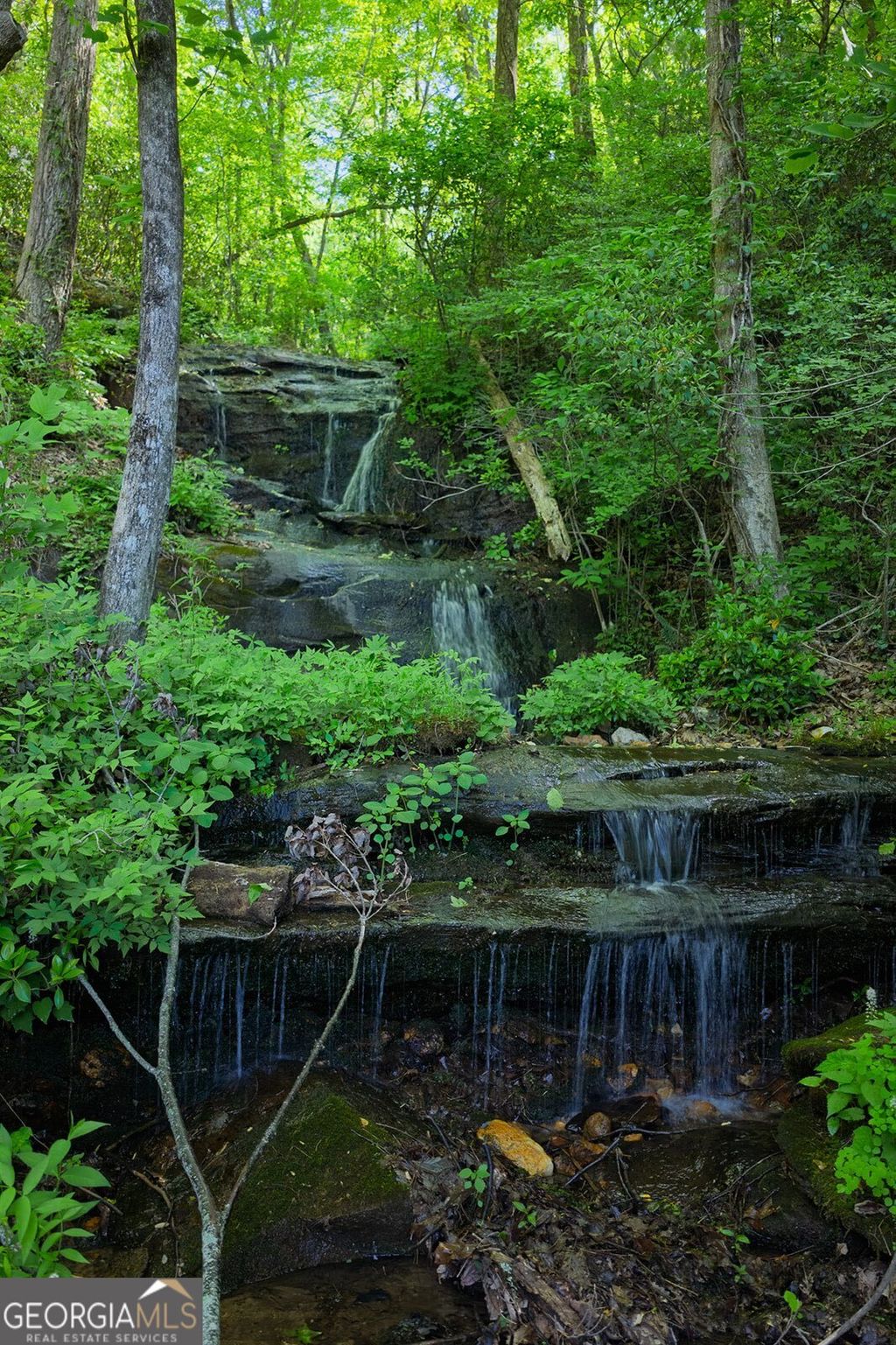 Photo of 1049 Rockwater Road, Ellijay, GA 30536 (MLS # 10791180)