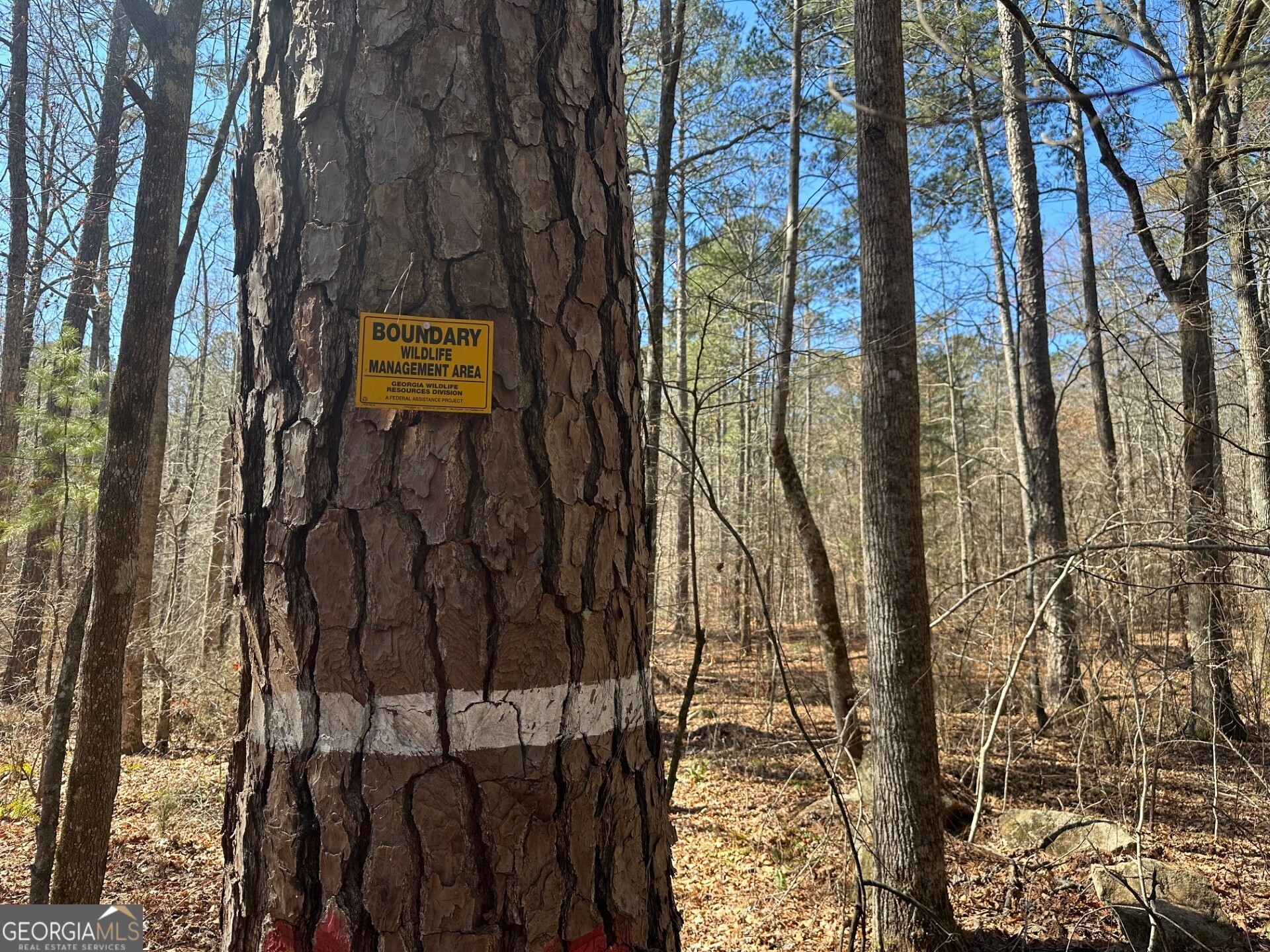 1500 Middlebrooks Road